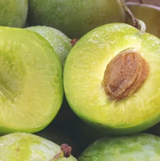 Halved green Kakadu plums showing pale green flesh and a central stone