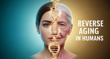 split screen face young and old with dna helix reverse aging in humans