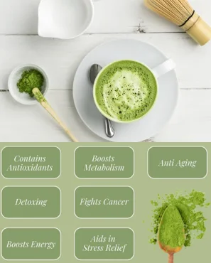 7 daily matcha benefits for older adults - illustration 1
