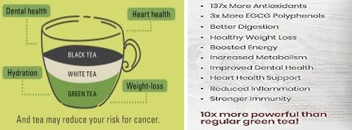 7 daily matcha benefits for older adults - illustration 5