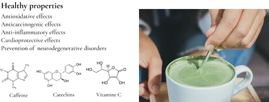 7 daily matcha benefits for older adults - illustration 8