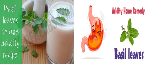 Basil leaves for acidity and ulcers