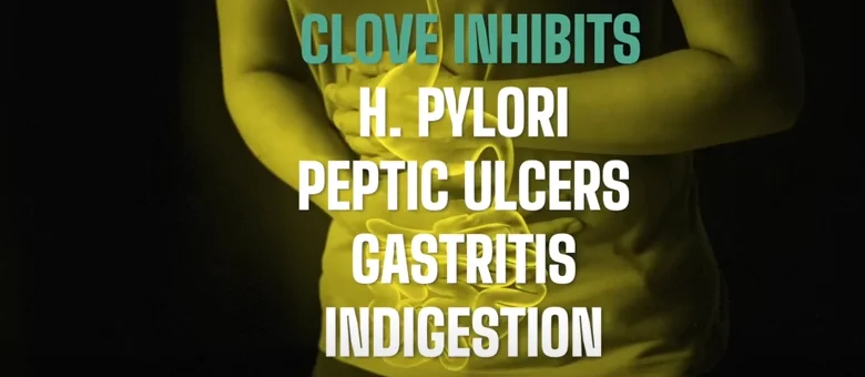 Eugenol clove anti-inflammatory