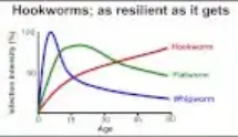 Benefits Of Human Deworming Image