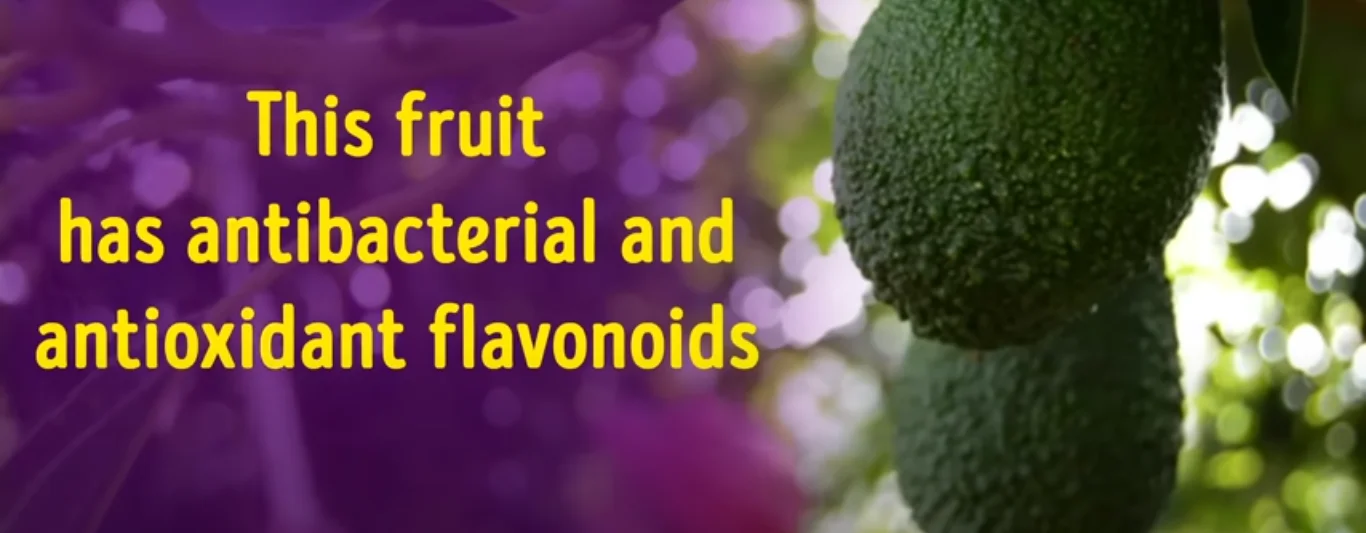 Avocado skin superfood