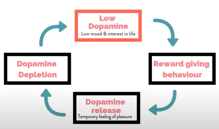 brain dopamine - illustration 13