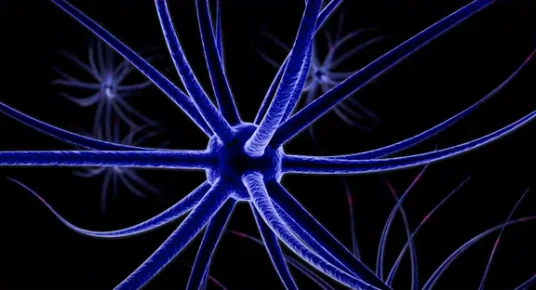 brain dopamine - illustration 3
