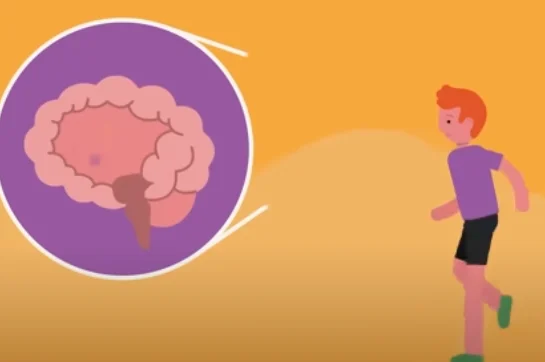 brain dopamine - illustration 6