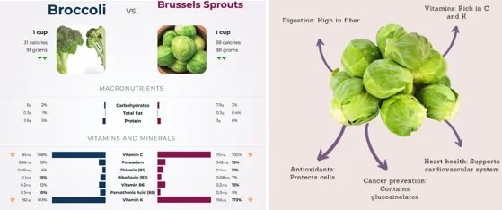 collagen-boosting vegetables for leg strength in seniors - illustration 4