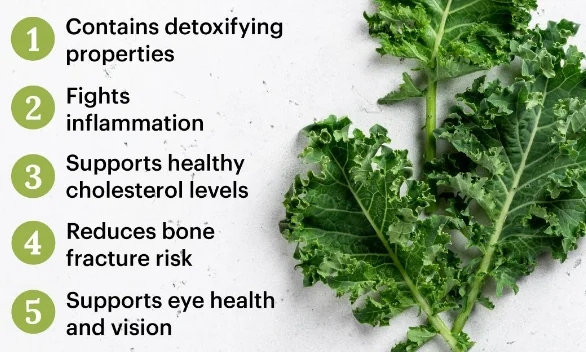 collagen-boosting vegetables for leg strength in seniors - illustration 5