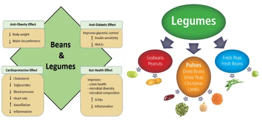 collagen-boosting vegetables for leg strength in seniors - illustration 9