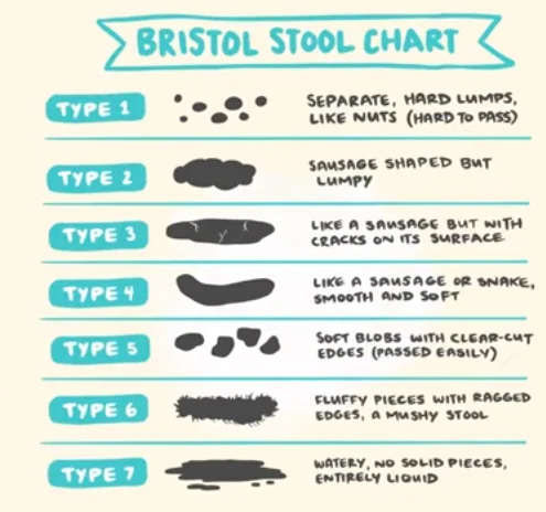 Constipation Relief For Seniors Image