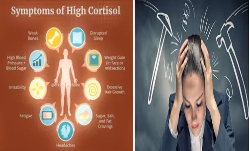cortisol damage - illustration 1