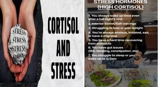 cortisol damage - illustration 2