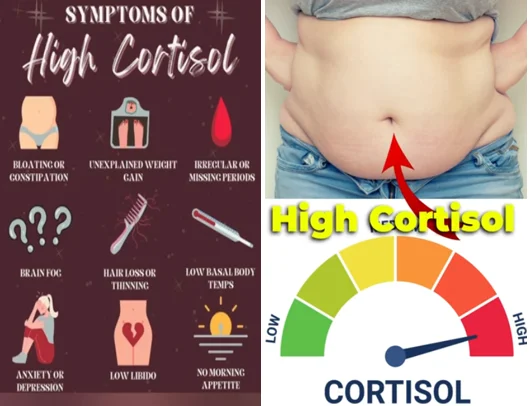 cortisol damage - illustration 3