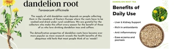 dandelion root for seniors - illustration 2