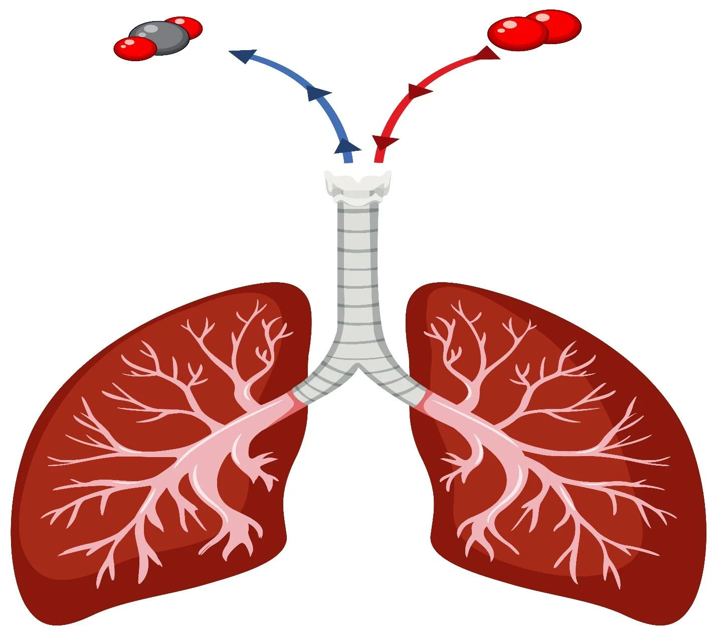 Detox your lungs naturally overview