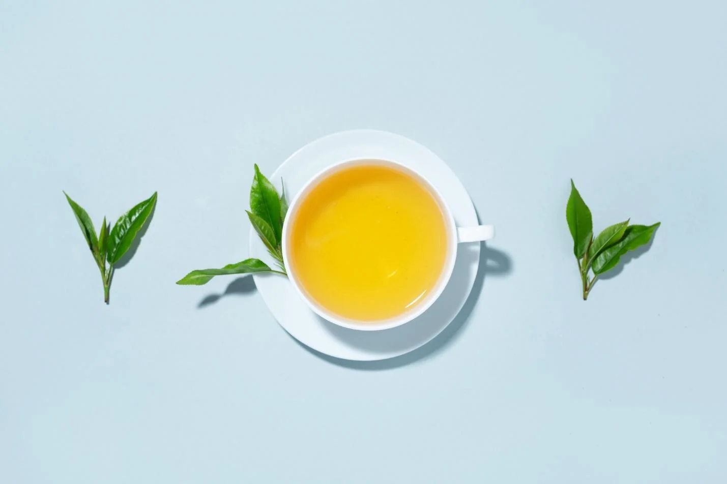 Matula tea lung detox
