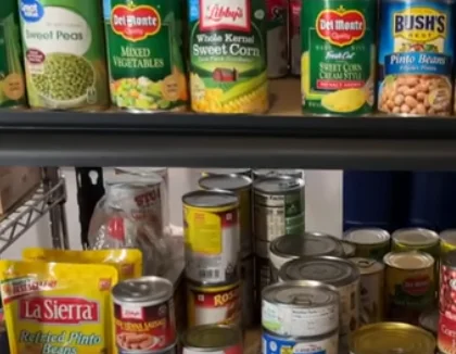 Canned processed meats