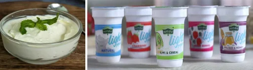 Light yogurt sucralose