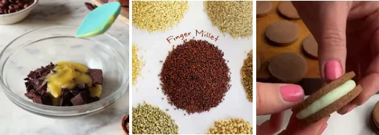 Refined gluten gut trigger