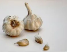 garlic in oil botulism risk for seniors - illustration 3