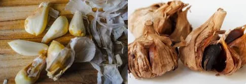 garlic in oil botulism risk for seniors - illustration 10