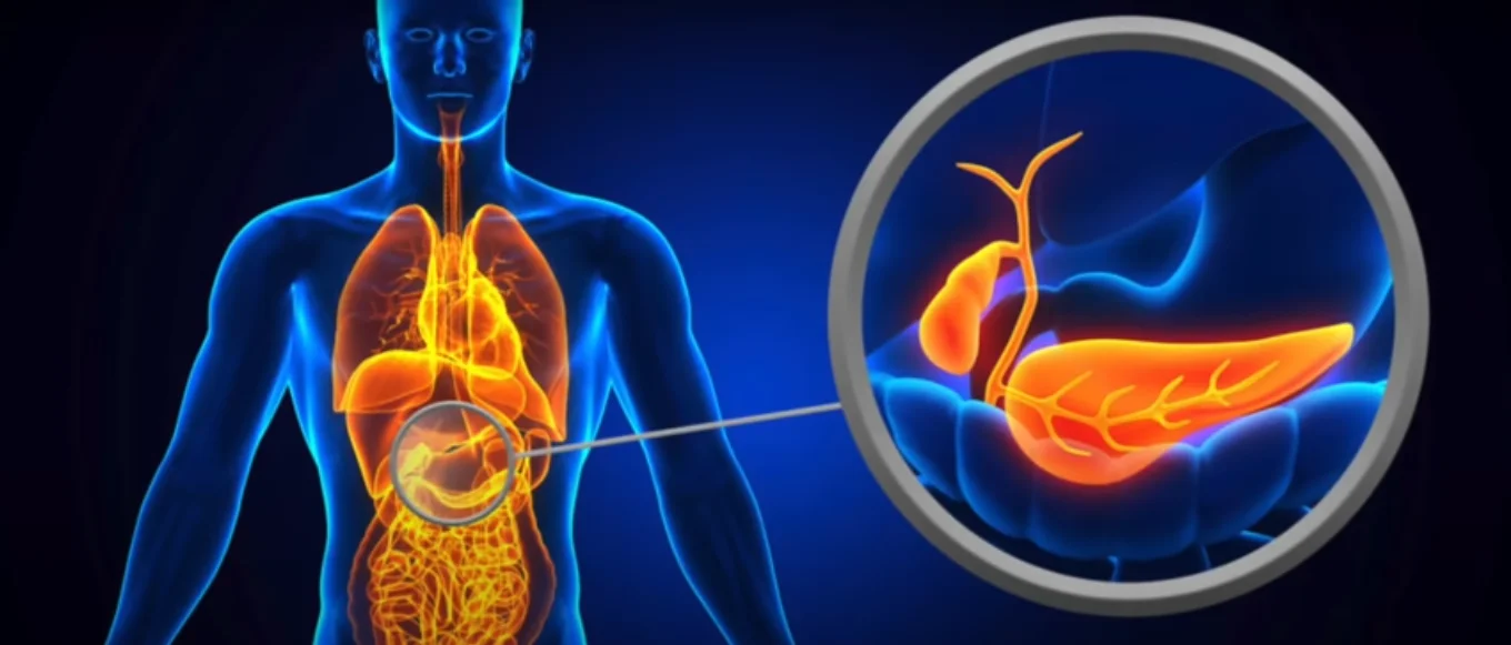 Ginger gut health digestion