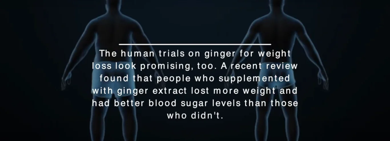 Ginger metabolism boost