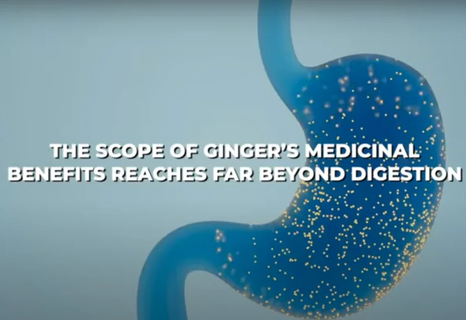 Health benefits of ginger overview