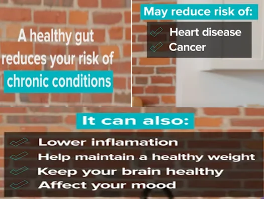 how to fix gut health - illustration 1