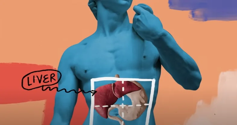 how to fix gut health - illustration 10