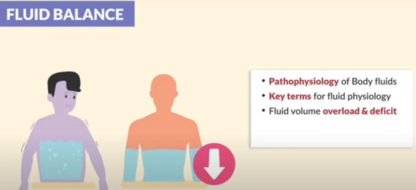 how to naturally detox lymphatic system - illustration 2