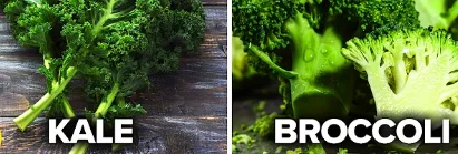 how to naturally detox lymphatic system - illustration 18