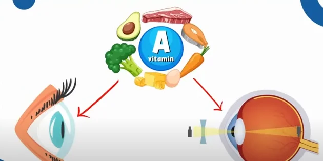 important nutrients for eye health - illustration 4