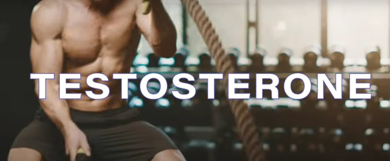 Increase muscle mass progressive overload