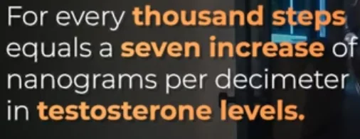 Walking 10000 steps testosterone