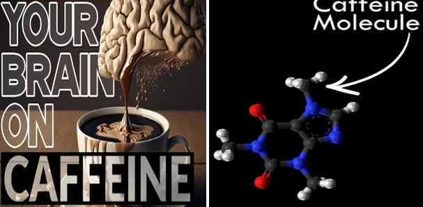 is caffeine a miracle drug - illustration 11