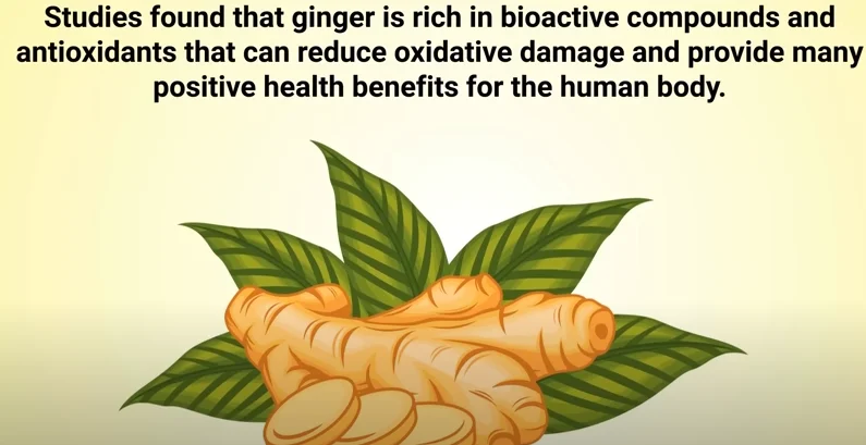lemon and ginger metabolism booster - illustration 4