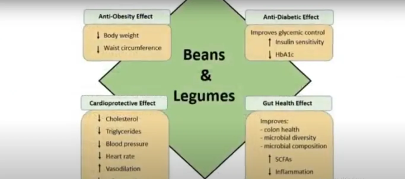 Low-Calorie Proteins for Weight Loss