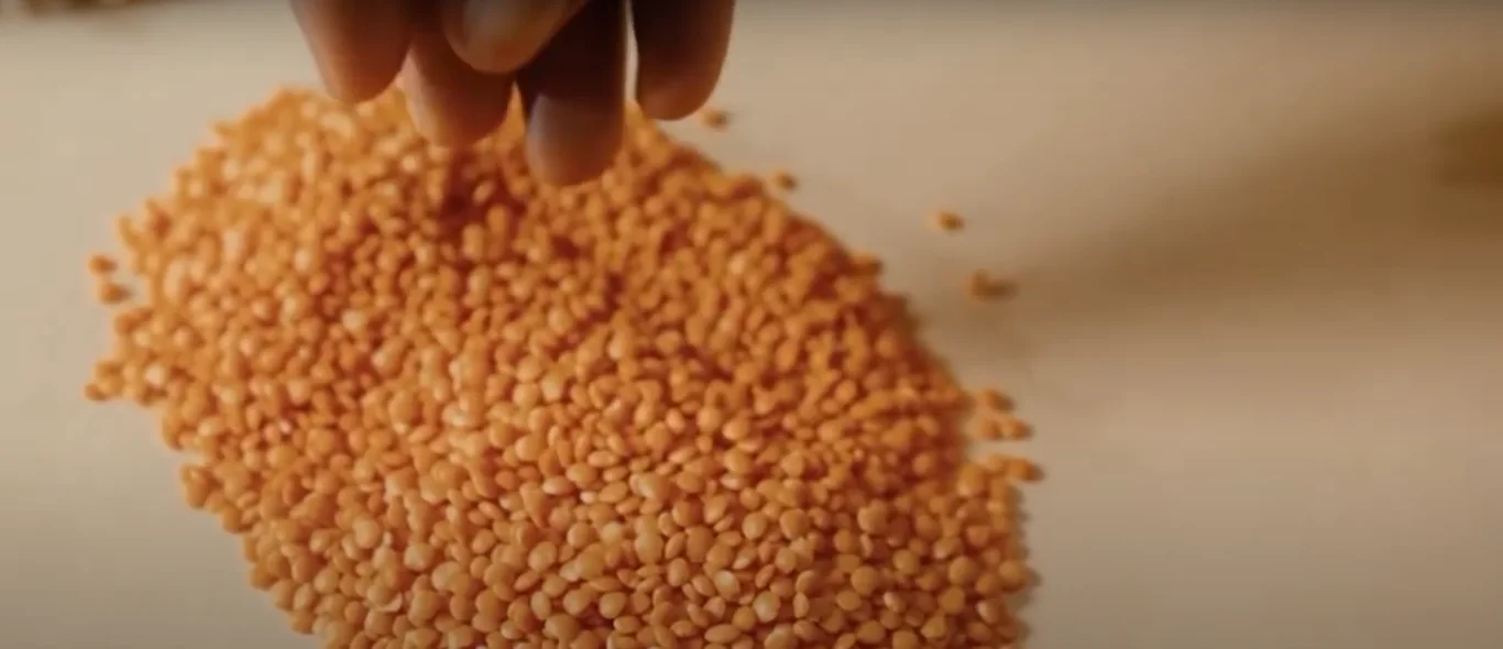 Low-Calorie Proteins for Weight Loss