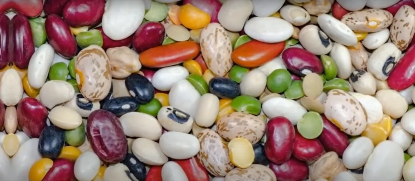 Low-Calorie Proteins for Weight Loss