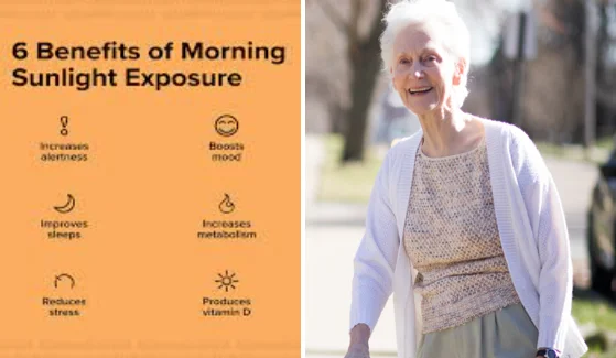 Morning sunlight vitamin D seniors