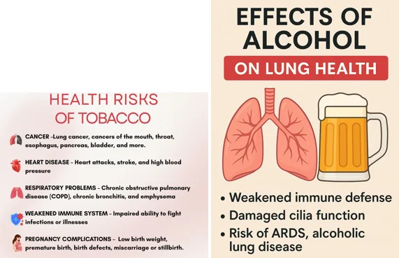 Alcohol and pancreas health illustration