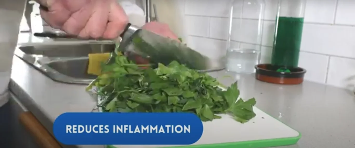 Anti-inflammatory compounds in parsley that protect kidney health