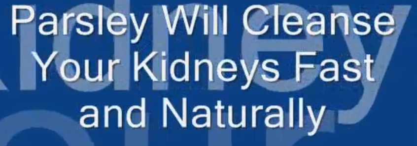 Fresh parsley as a natural kidney health remedy