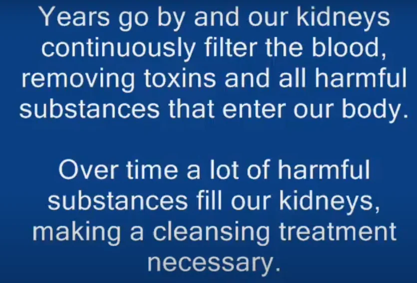 Kidney health and the importance of natural detoxification support