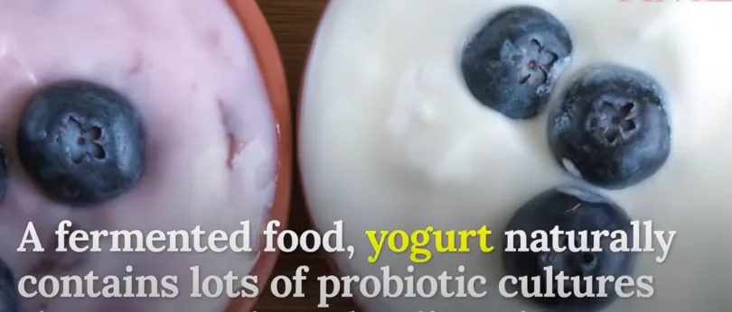 Probiotic-rich foods that support kidney and gut health