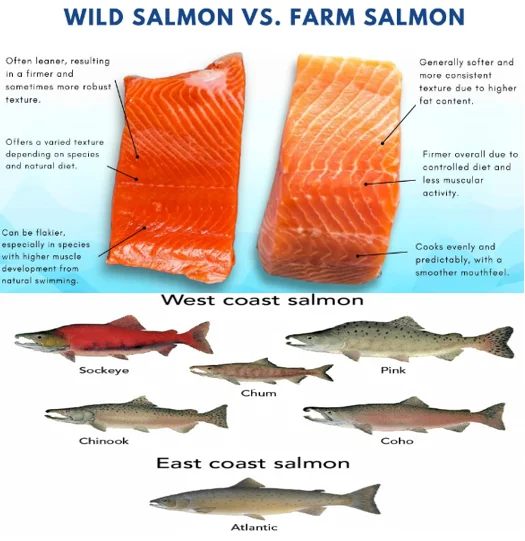 Wild salmon omega-3 eyes
