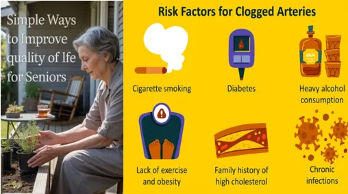 preventing clogged arteries - illustration 1